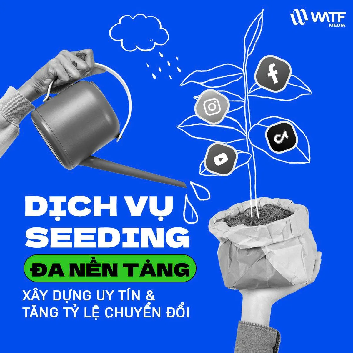 dich vu watf media 12